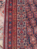 [vintage rugs] - Blue Parakeet Rugs