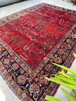9' x 11'7 Antique Persian Sarouk rug #2287ML / 9x12 antique rug - Blue Parakeet Rugs