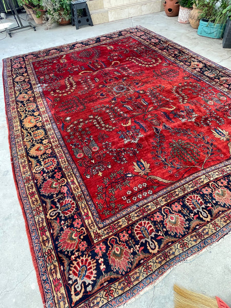 9' x 11'7 Antique Persian Sarouk rug #2287ML / 9x12 antique rug - Blue Parakeet Rugs