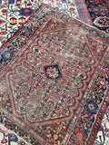 [vintage rugs] - Blue Parakeet Rugs