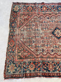 [vintage rugs] - Blue Parakeet Rugs