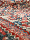 [vintage rugs] - Blue Parakeet Rugs