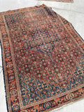 4'5 x 6'6 Antique Senneh rug #741-A / 5x7 Vintage Rug - Blue Parakeet Rugs