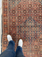 4'5 x 6'6 Antique Senneh rug #741-A / 5x7 Vintage Rug - Blue Parakeet Rugs