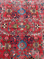 [vintage rugs] - Blue Parakeet Rugs