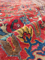 [vintage rugs] - Blue Parakeet Rugs