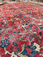 [vintage rugs] - Blue Parakeet Rugs