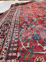 [vintage rugs] - Blue Parakeet Rugs