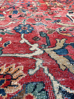 [vintage rugs] - Blue Parakeet Rugs