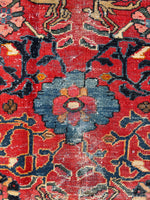 [vintage rugs] - Blue Parakeet Rugs