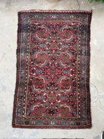 2'8 x 4'1 Antique Persian Scatter rug #2492 - Blue Parakeet Rugs