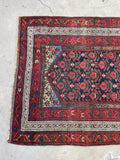 3'10 x 11'8 Late 19th Century Kurdish Runner #2294 - Blue Parakeet Rugs