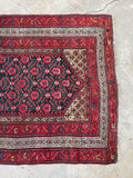 3'10 x 11'8 Late 19th Century Kurdish Runner #2294 - Blue Parakeet Rugs
