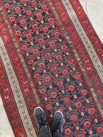 3'10 x 11'8 Late 19th Century Kurdish Runner #2294 - Blue Parakeet Rugs