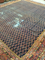11'9 x 13' midnight blue Persian Mahal (#786) - Blue Parakeet Rugs