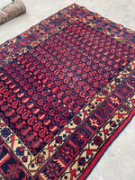 [vintage rugs] - Blue Parakeet Rugs