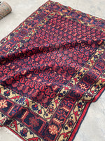 [vintage rugs] - Blue Parakeet Rugs