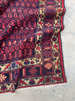 [vintage rugs] - Blue Parakeet Rugs