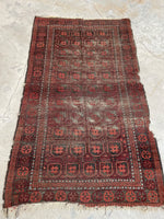 4' x 6'6 Nomadic Baluch rug #2141 / 4x7 Vintage Rug - Blue Parakeet Rugs