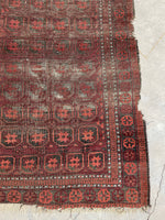 4' x 6'6 Nomadic Baluch rug #2141 / 4x7 Vintage Rug - Blue Parakeet Rugs