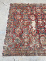 [vintage rugs] - Blue Parakeet Rugs