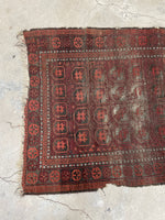 4' x 6'6 Nomadic Baluch rug #2141 / 4x7 Vintage Rug - Blue Parakeet Rugs