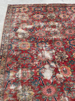 [vintage rugs] - Blue Parakeet Rugs