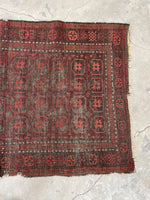 4' x 6'6 Nomadic Baluch rug #2141 / 4x7 Vintage Rug - Blue Parakeet Rugs