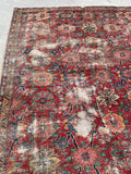[vintage rugs] - Blue Parakeet Rugs