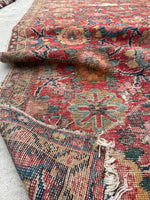 [vintage rugs] - Blue Parakeet Rugs