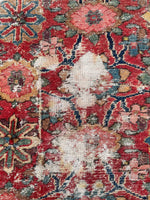 [vintage rugs] - Blue Parakeet Rugs