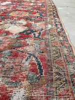 [vintage rugs] - Blue Parakeet Rugs
