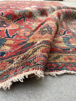 [vintage rugs] - Blue Parakeet Rugs