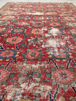 [vintage rugs] - Blue Parakeet Rugs