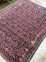 5 x 6'8 Antique Persian Ferahan Sarouk / 5x7 Persian rug (#962ML) - Blue Parakeet Rugs