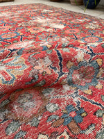 [vintage rugs] - Blue Parakeet Rugs