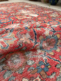 [vintage rugs] - Blue Parakeet Rugs