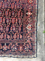 5 x 6'8 Antique Persian Ferahan Sarouk / 5x7 Persian rug (#962ML) - Blue Parakeet Rugs