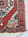 [vintage rugs] - Blue Parakeet Rugs
