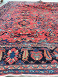 9 x 12'3 Salmon Antique Mahal - Blue Parakeet Rugs
