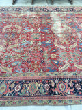8'8 x 12'3 antique Persian Heriz / Large vintage rug / 9x12 vintage Persian rug ( #1134) - Blue Parakeet Rugs