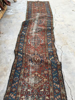 [vintage rugs] - Blue Parakeet Rugs