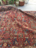 8'8 x 12'3 antique Persian Heriz / Large vintage rug / 9x12 vintage Persian rug ( #1134) - Blue Parakeet Rugs