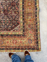 [vintage rugs] - Blue Parakeet Rugs