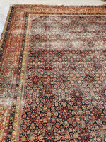 [vintage rugs] - Blue Parakeet Rugs