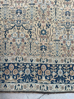 7'5 x 10'6 Antique Persian Tabriz rug #2582ML - Blue Parakeet Rugs