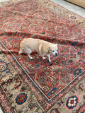 8'8 x 11'6 Antique Heriz with camel border #2148ML / 9x12 Vintage Rug - Blue Parakeet Rugs