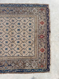 3'10 x 10'6 Antique Persian Bibikabad runner #2308ML / 4x11 Vintage Runner - Blue Parakeet Rugs