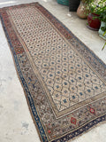 3'10 x 10'6 Antique Persian Bibikabad runner #2308ML / 4x11 Vintage Runner - Blue Parakeet Rugs