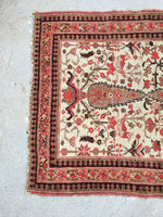 [vintage rugs] - Blue Parakeet Rugs